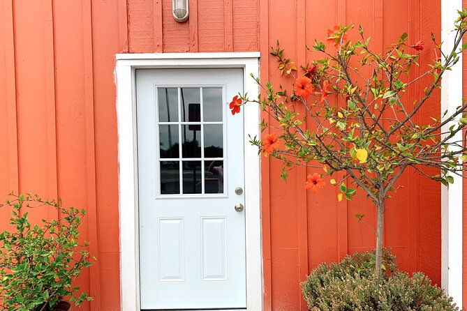 bike-adventure-tour-in-beverly-hills-santa-monica-and-venice