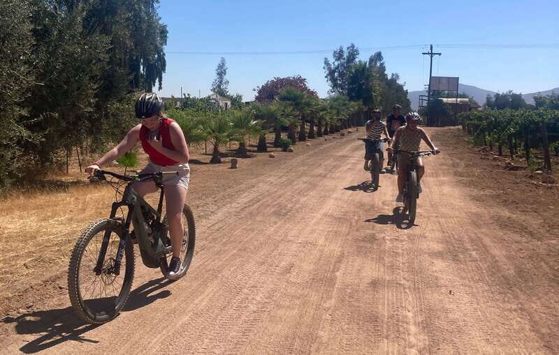 Bike and wine amazing Adventure in Valle de Guadalupe" - What Makes This Tour Stand Out