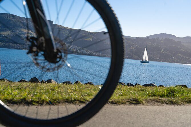 Bike Ferry Portobello to Port Chalmers and Quarantine Island - Who Should Consider This Experience?