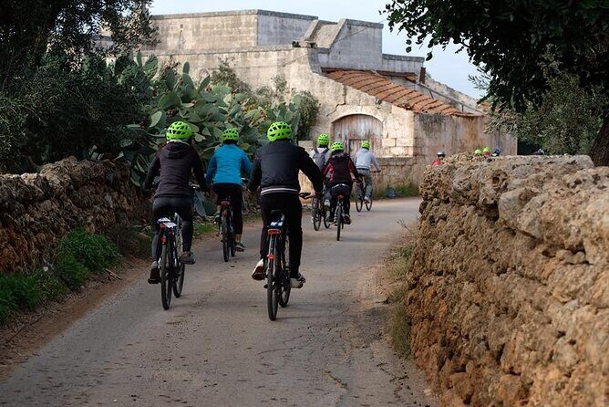 Bike Rental in Bari - Who Should Consider This Bike Rental?