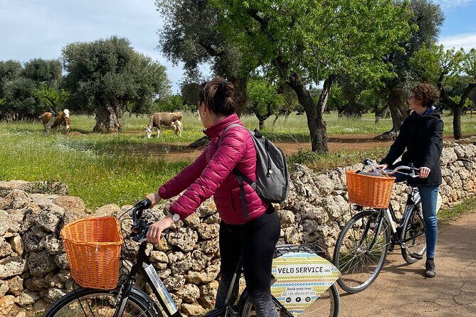 Bike Rental in Bari - Final Thoughts