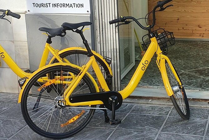 bike-rental-per-day-in-seville-3