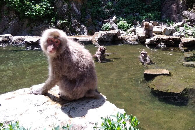 bike-rentals-in-nagano-to-explore-snow-monkey-park