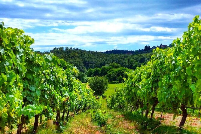 bike-ride-wine-tasting