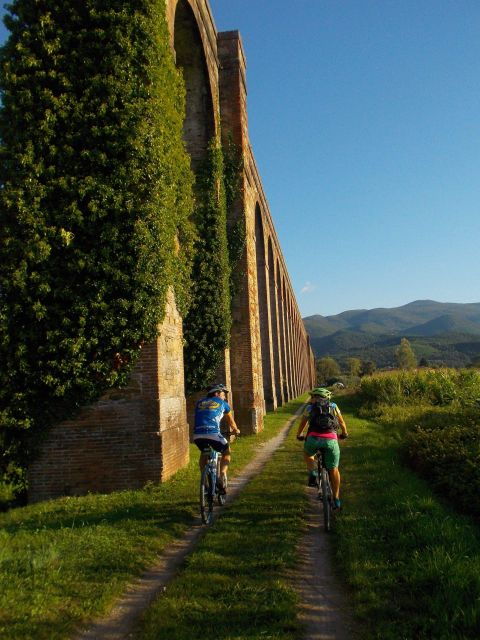 bike-self-tour-in-the-lucca-countryside-and-green-landscapes