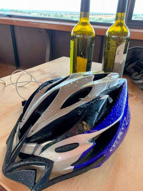 Bike Through Vineyards The best Wine in the Guadalupe Valley - Final Thoughts