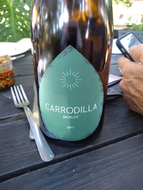 bike-through-vineyards-the-best-wine-in-the-guadalupe-valley