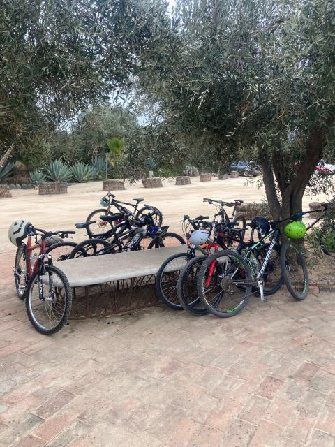 bike-through-vineyards-the-best-wine-in-the-guadalupe-valley
