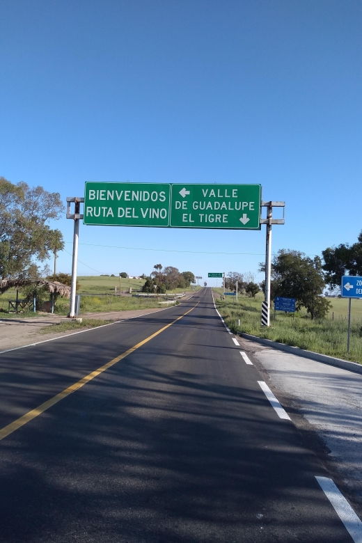 bike-through-vineyards-the-best-wine-in-the-guadalupe-valley