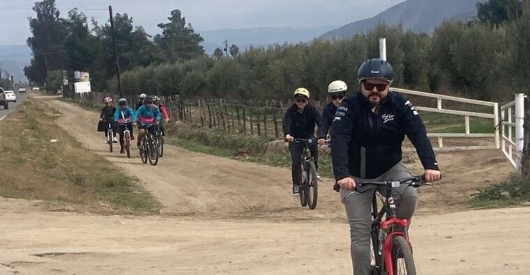 bike-through-vineyards-the-best-wine-in-the-guadalupe-valley