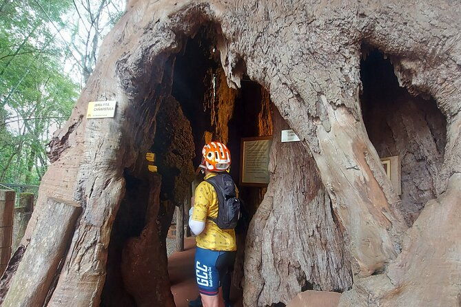bike-tour-3-countries-in-1-day-brazil-paraguay-and-argentina-in-55-km