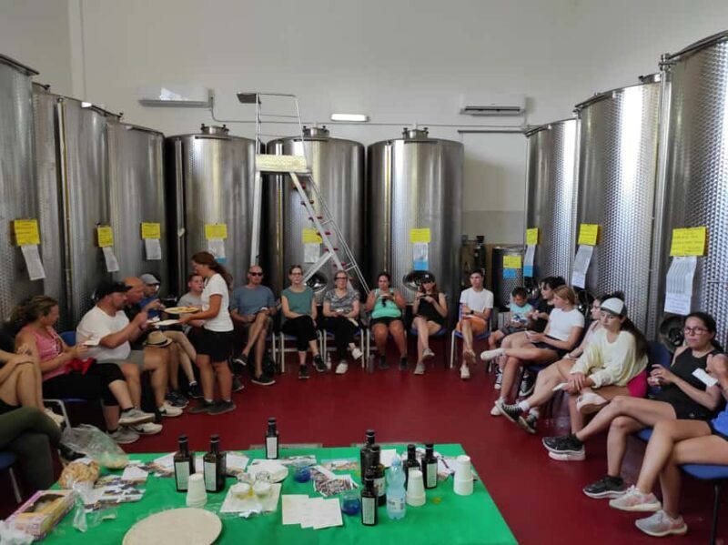 Bike Tour among the Ancient Olive Trees with EVO Oil Tasting - Why This Tour Offers Good Value