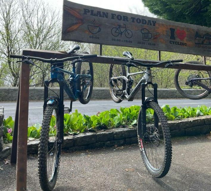 bike-tour-botanical-levels-of-madeira-trail-experience