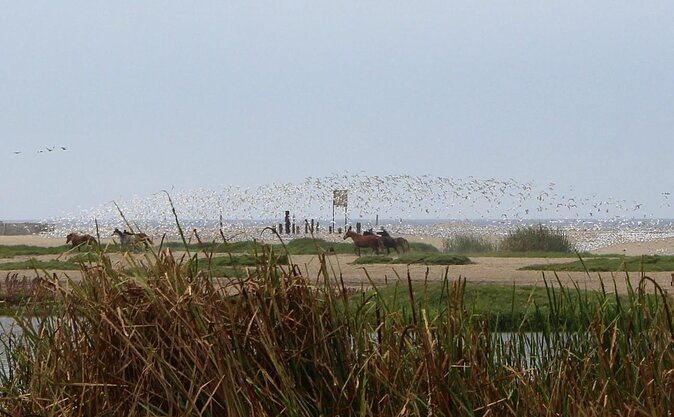 bike-tour-discovering-the-nature-and-history-of-lima