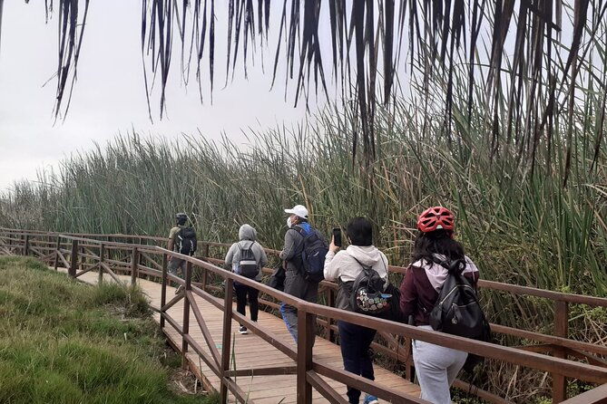 bike-tour-discovering-the-nature-and-history-of-lima