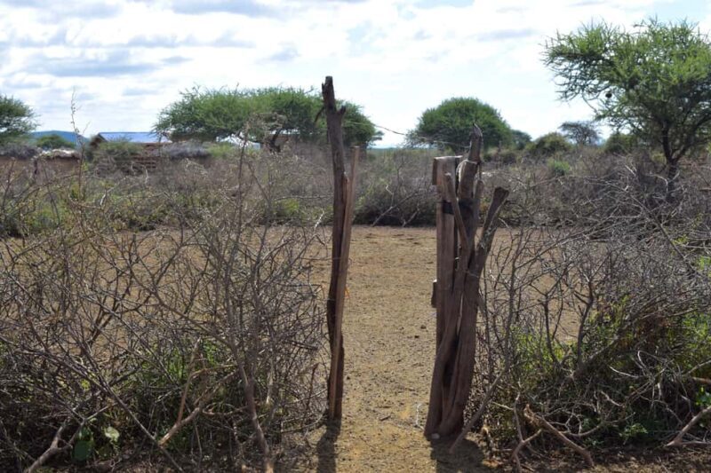 Bike Tour From Maasai Village To Chemka Hot Springs - An In-Depth Look at the Tour Experience