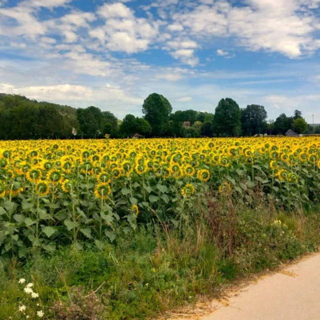 bike-tour-from-vernon-to-giverny-with-local-guide