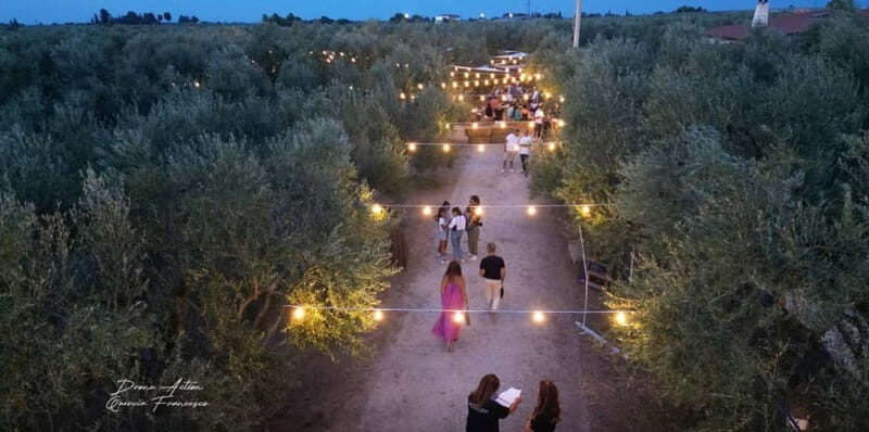 Bike tour in Trani + visit to olive grove and evo oil tasting - Tasting & Local Delights