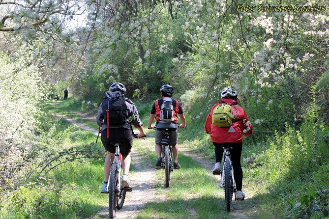 bike-tour-into-the-nature-around-castel-del-monte