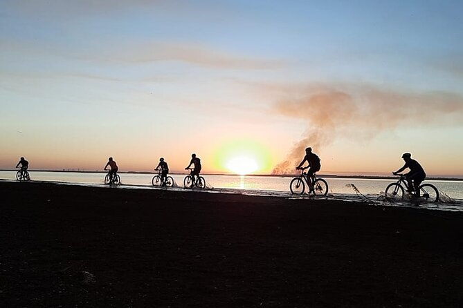 bike-tour-the-shores-of-lake-itaipu-in-the-middle-of-the-forest