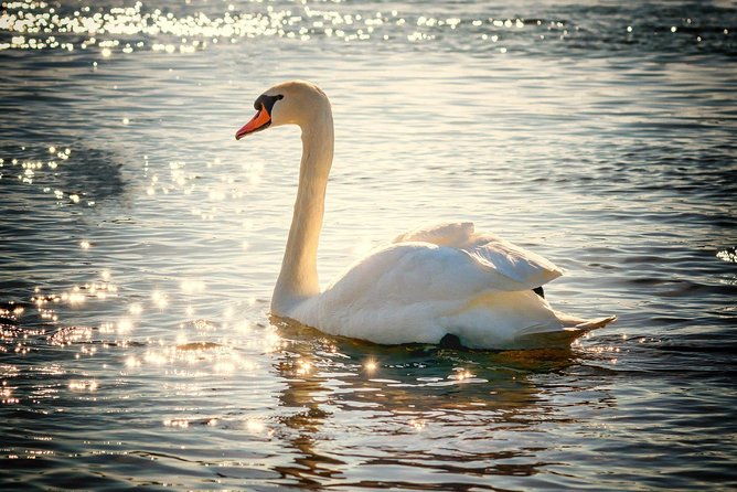bike-tour-through-beautiful-hamburg-outer-alster-bike-tour-min-4