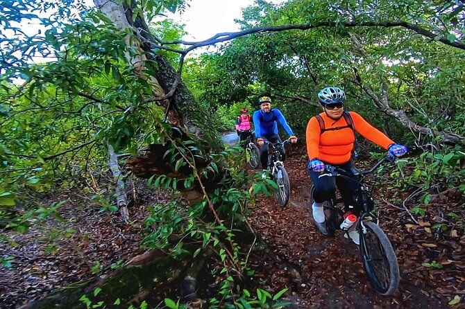 bike-trails-in-porto-de-galinhas