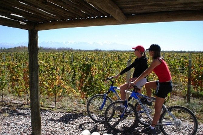 bike-wine-tasting-with-regional-food-in-zuccardi-winery-from-mendoza