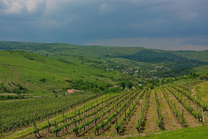 bike-wine-tour-in-dealu-mare-wineland
