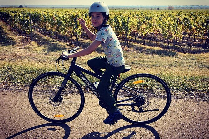 bike-wine-tour-in-dealu-mare-wineland