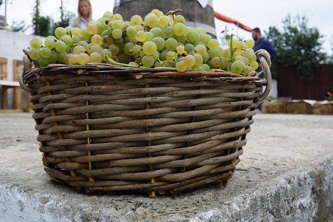 bike-wine-tour-in-dealu-mare-wineland