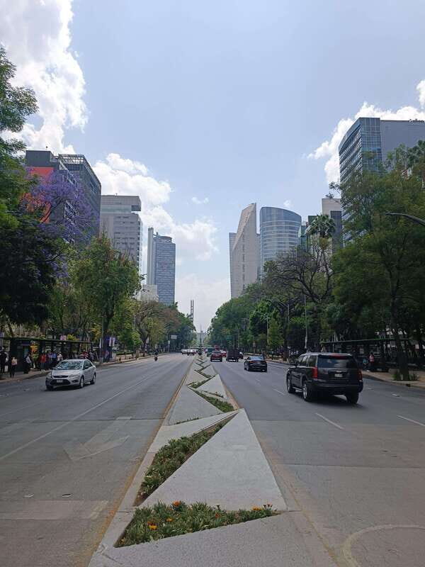 Biking tour: From Chapultepec to Downtown - Price, Value, and Overall Impression