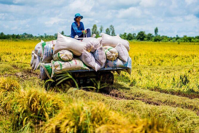Biking Tour in The Pineapple Villages - Key Points