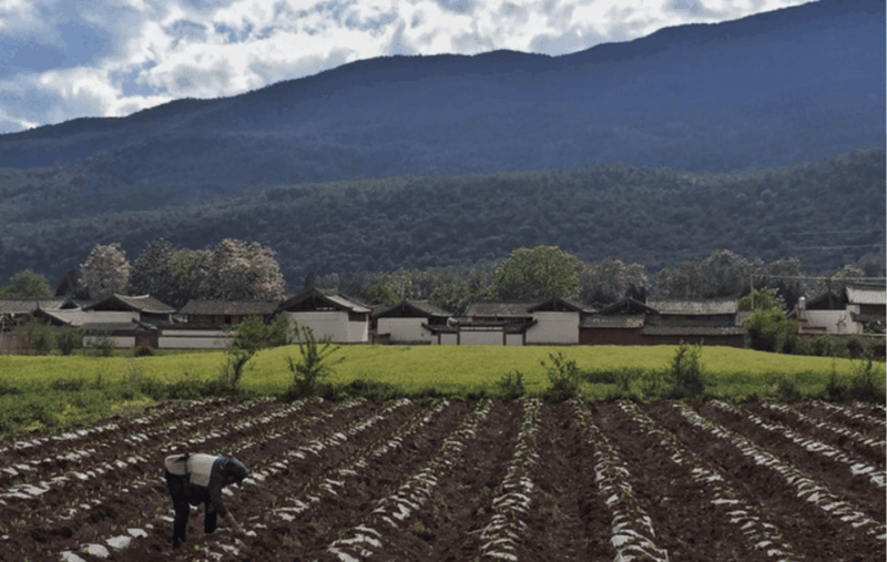biking-tourguide-visit-lijiang-baisha-village-market-park