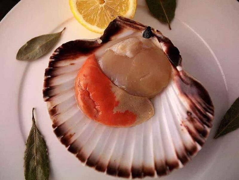 Bilbao: Guggenheim Secrets & Savor the Seas Treasures. VIP - Who Will Love This Tour?