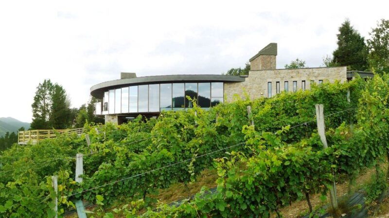 bilbao-organic-winery-visit-with-tasting