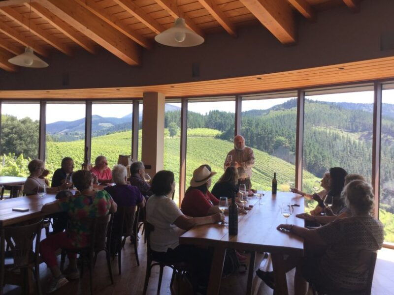bilbao-organic-winery-visit-with-tasting