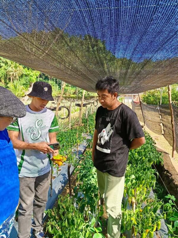 Biliran: 6 days 5 nights with hotel, tour and island hopping - Who Will Appreciate This Tour?