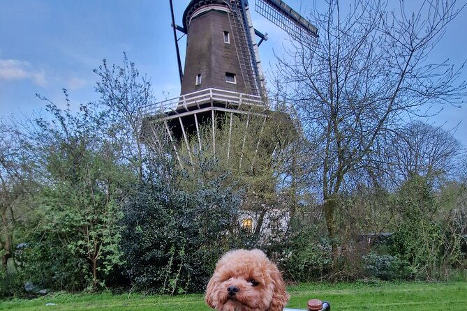 bills-bike-tour-amsterdam-bike-with-bill-and-puppy-herman