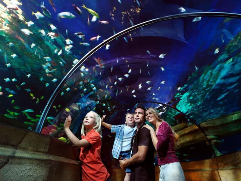 Billund: 1-Day Ticket to LEGOLAND® with All Rides Access - FAQ