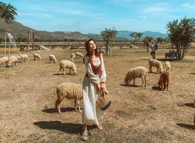 Binh Lap Tour Hang Rai - Sheep Field - Vinh Hy -Grape Garden - What Reviewers Say