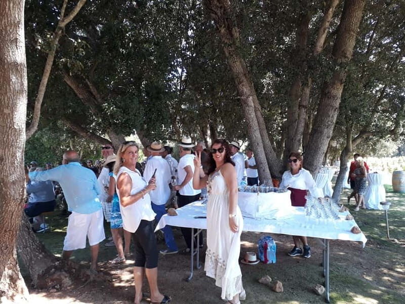 Binissalem: Individual vineyard tour and wine tasting in German - Why This Tour Appeals to Different Travelers