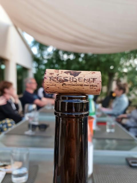 binissalem-individual-vineyard-tour-and-wine-tasting