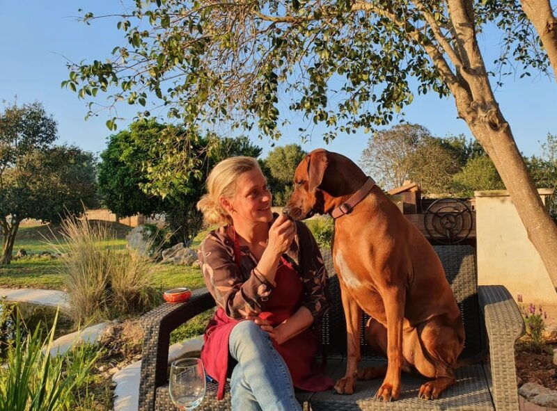 binissalem-individual-vineyard-tour-and-wine-tasting