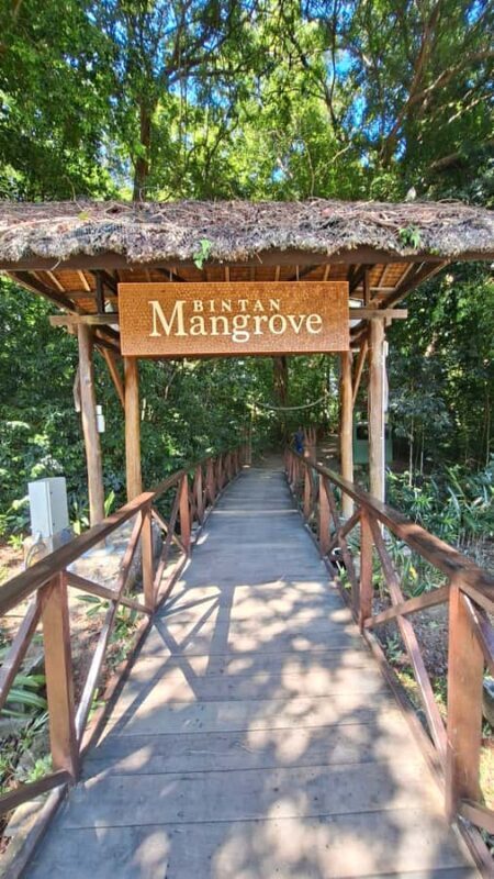 Bintan Island : Mangrove Or Fireflies Tour - Key Points