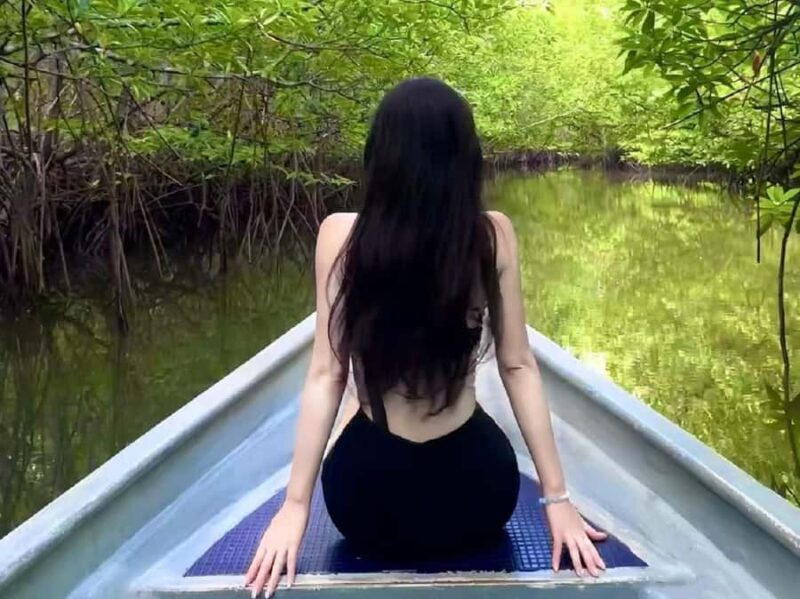 Bintan: Mangrove Discovery Boat Tour - Key Points