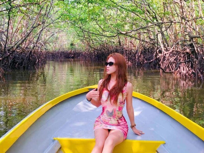 Bintan: Mangrove Discovery Boat Tour - An In-Depth Look at the Mangrove Discovery Boat Tour