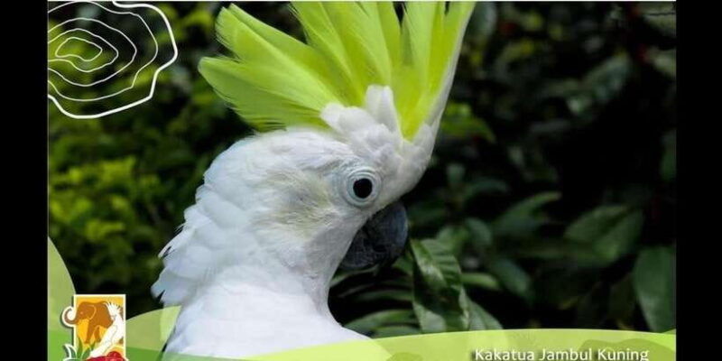 bintan-safari-lagoi-honey-eco-farm-tour