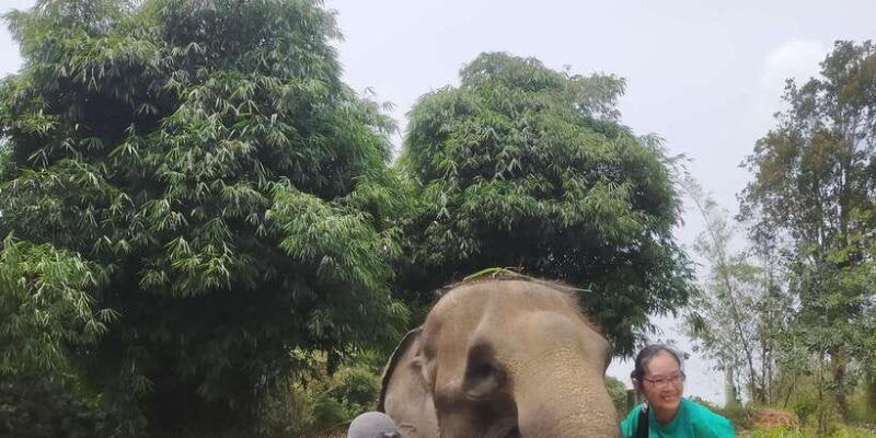 bintan-safari-lagoi-honey-eco-farm-tour