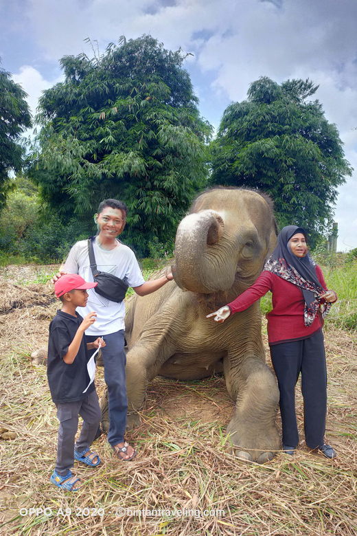 bintan-safari-lagoi-honey-eco-farm-tour