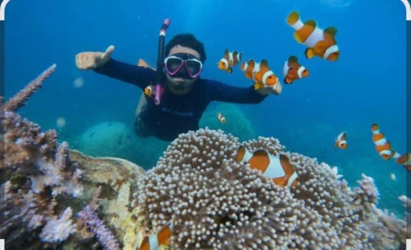 Bintan: Snorkeling, Kayaking, and Fishing Tour - What Makes This Tour Stand Out